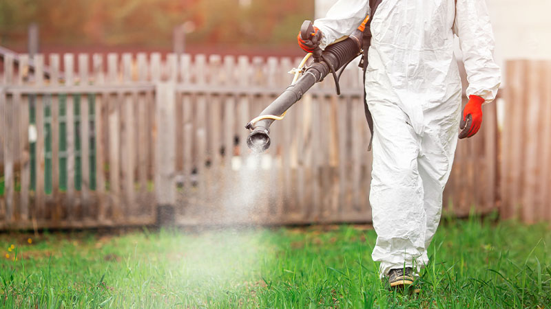 Disinfestazione antizanzare